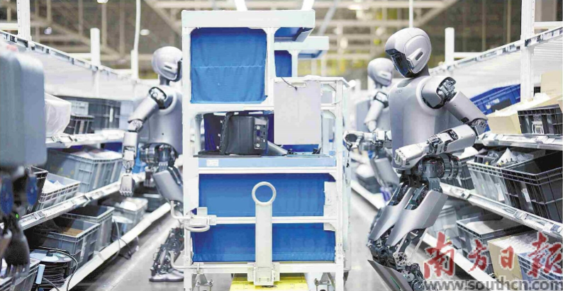 優(yōu)必選工業(yè)人形機(jī)器人在工廠開展協(xié)同實(shí)訓(xùn)。 南方日報記者 朱洪波 通訊員 羅艷 攝